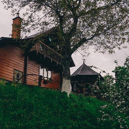 Будиночок В Карпатах Yaremche Eksteriør billede